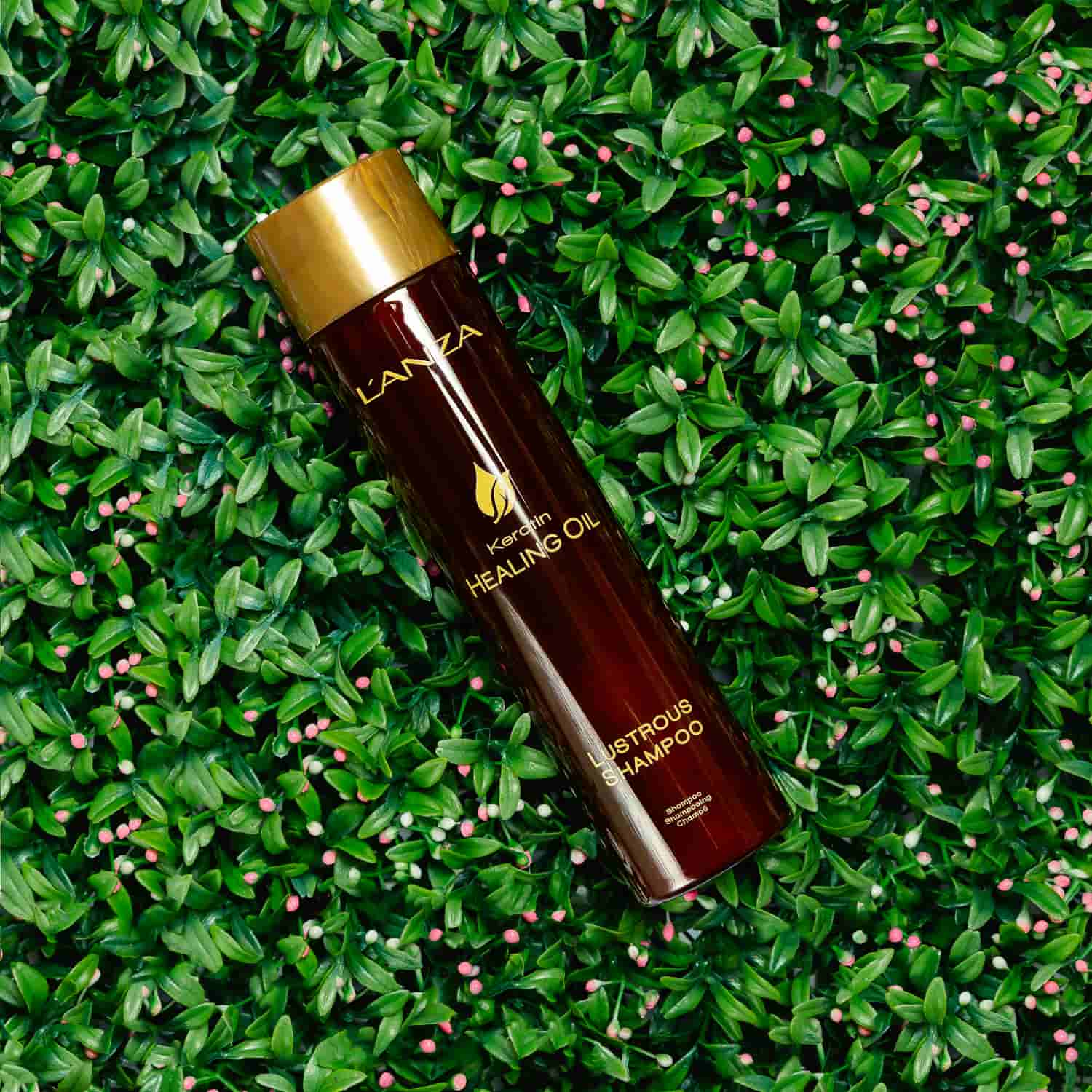 Шампунь для сяйва волосся LʼANZA Keratin Healing Oil Shampoo, 300 ml - 3